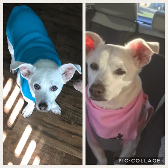 Meet your Posher, Anna - Picture 5 of 5